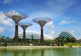 Singapore Gardens Visit Ceetiz