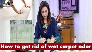 how to get rid of wet carpet odor you