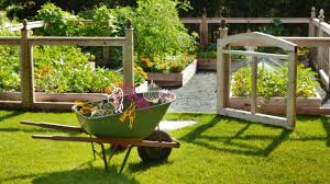 16 backyard vegetable garden ideas for