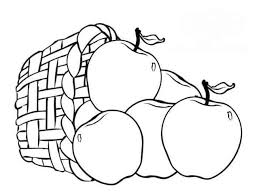 86 sketsa gambar bunga matahari untuk kolase terbaru. 17 Gambar Sketsa Buah Buahan Beserta Penjelasan Lengkap
