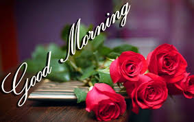 good morning rose flower picture