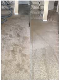 gallery bliss carpet cleaning service