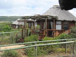 picture of garden route game lodge