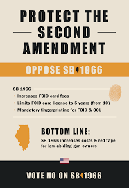 The illinois judge once again ruled that vivian brown's lack of an foid card makes the whole thing unconstitutional for weapons kept in the home. Severin Pledges No Vote On Unconstitutional Gun Control Bill