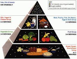 old and new food pyramid information