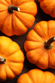 pumpkin recycling 10 sustainable ways
