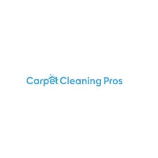 south carpet cleaning pros southton