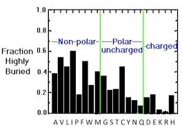 The 20 Amino Acids Hydrophobic Hydrophilic Polar And