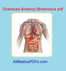 It is available for free. Anatomy Mnemonics Pdf All Medical Pdfs