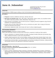 Sample Entry Level Cover Letter      Examples in Word  PDF