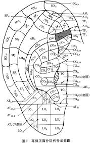 Auricular Acupuncture Diagnosis In Patients With Lumbar