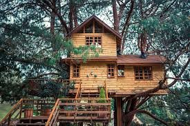 13 Simple Treehouse Ideas You Can Build