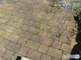 Block Paving Weed Advice Needed Page