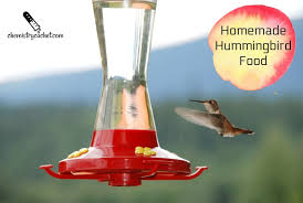 easy homemade hummingbird food recipe