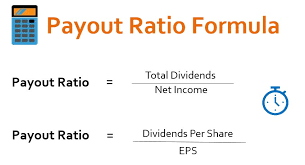 payout ratio formula calculator