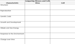 Comparing Virsuses And Bacteria Welcome To Biology