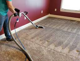 carpet cleaning danville ky super