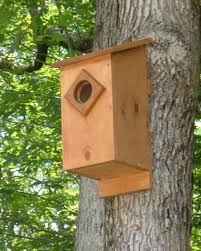 How To Build A Wood Duck Nest Box