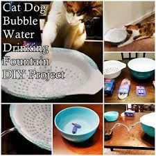 Get inspired with diy projects and buying guides for every area of your home. Cat Dog Bubble Water Drinking Fountain Diy Project Diy Fountain Cat Water Fountain Dog Water Fountain