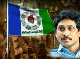 Image result for ycp