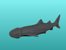 Sharkdick