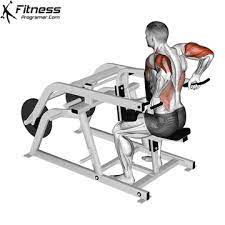how to triceps dip machine muscles
