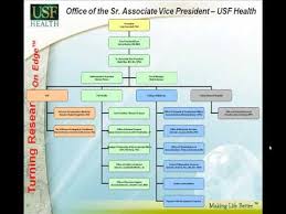 Organizational Structure Usf Office Of Research And