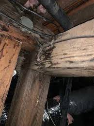 Crawl Space Repair Wood Rot In