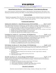 Resume Examples Advertising  Resume  Ixiplay Free Resume Samples 