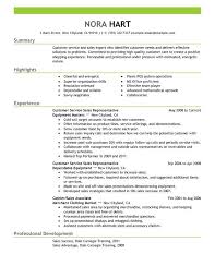 Customer Support Executive Resume Acepeople Co