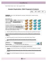 Which pair of nitrogenous bases will form a bond in a dna molecule? Gizmo 6 Anna Tran Name Anna Tran Date Student Exploration Dna Fingerprint Analysis Inq 20 Com Vocabulary Codon Dna Dna Fingerprint Genotype Course Hero