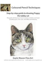 Tutorial Drawing A Tabby Cat