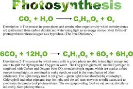 photosynthesis equations and