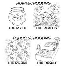 Für viele schüler und eltern heißt es aber jetzt wieder homeschooling.…. 22 Homeschooling Quotes Ideen Hausunterricht Zitate Uber Bildung Sir Ken Robinson