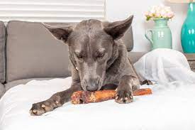 bully sticks for dogs with a sensitive