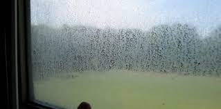 remove hard water stains from windows