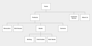 4 2 Hierarchy Intro To Ui Wireframing Balsamiq