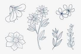 flower line drawing images free