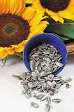 Is a sunflower seed a nut or a seed?