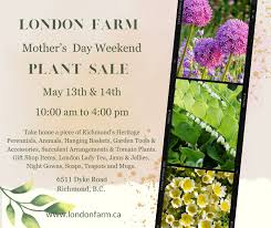 Annual Plant London Farm Steveston