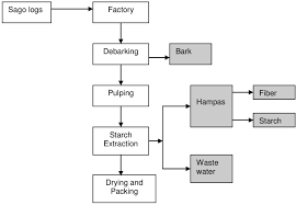 Schematic Flow Diagram For Sago Processing Yean And Lan