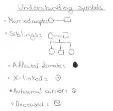 Ib Biology Notes 4 3 Theoretical Genetics