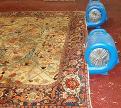 oriental rug svc and gallery reviews