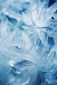 Frozen Closeup Ice Crystals Winter