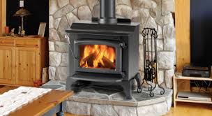 Best Wood Burning Stove Options For