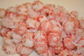how to cook langostino meat recipes net