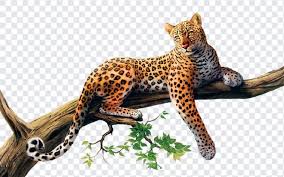 jaguar png free freebiehive