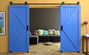 Double Barn Door Ideas