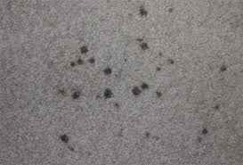 black stains out of a pontoon carpet