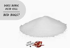 boric acid and bed bugs effective use